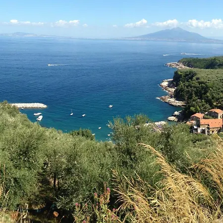 Apartamento Bilocale Panoramico “lo Sguardo”