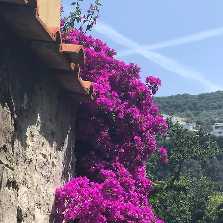 Apartamento Bilocale Panoramico “lo Sguardo” Massa Lubrense