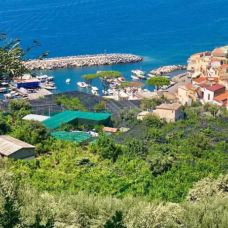 Bilocale Panoramico “lo Sguardo” Апартаменты *